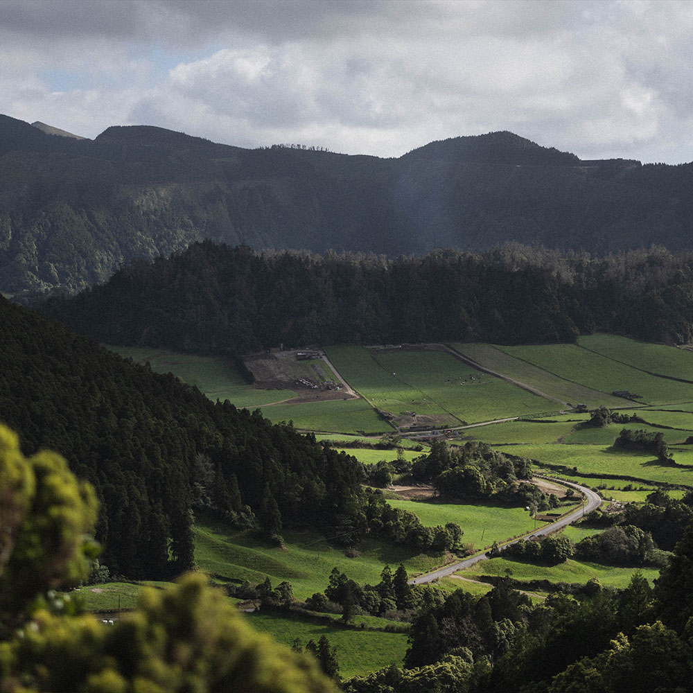 Das dynamische Duo – 24mm und 50mm